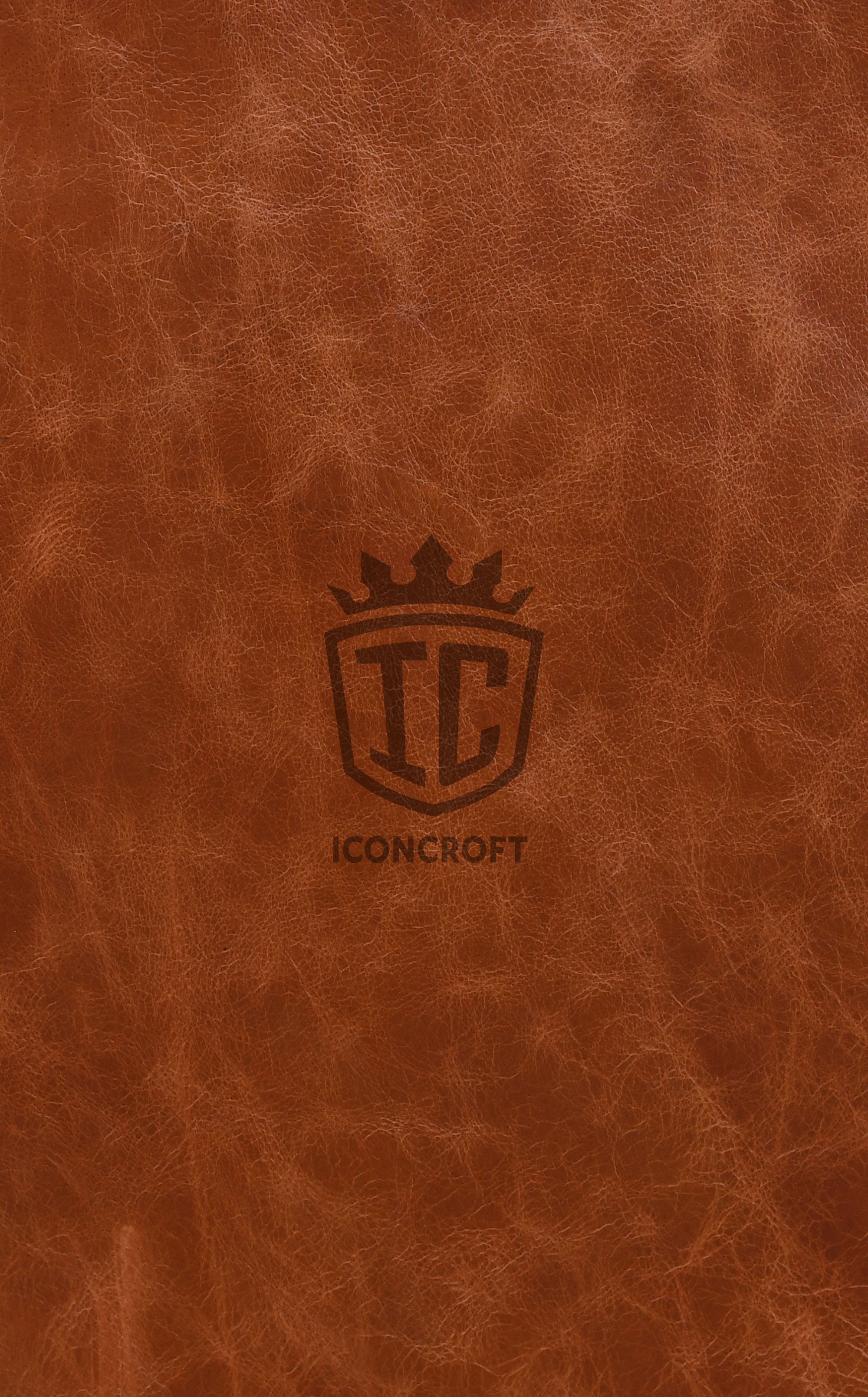IC-LS-019