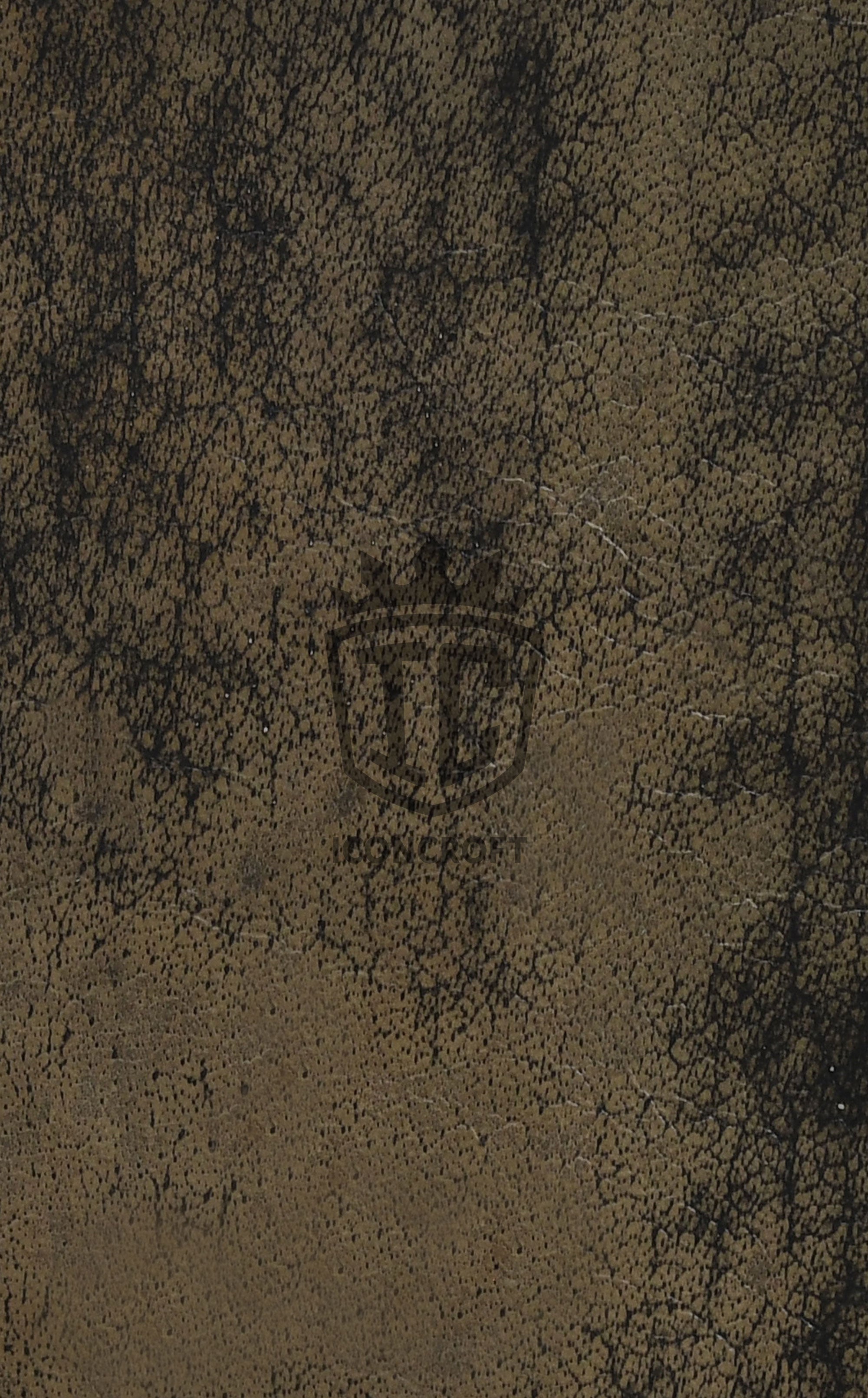 IC-LS-033