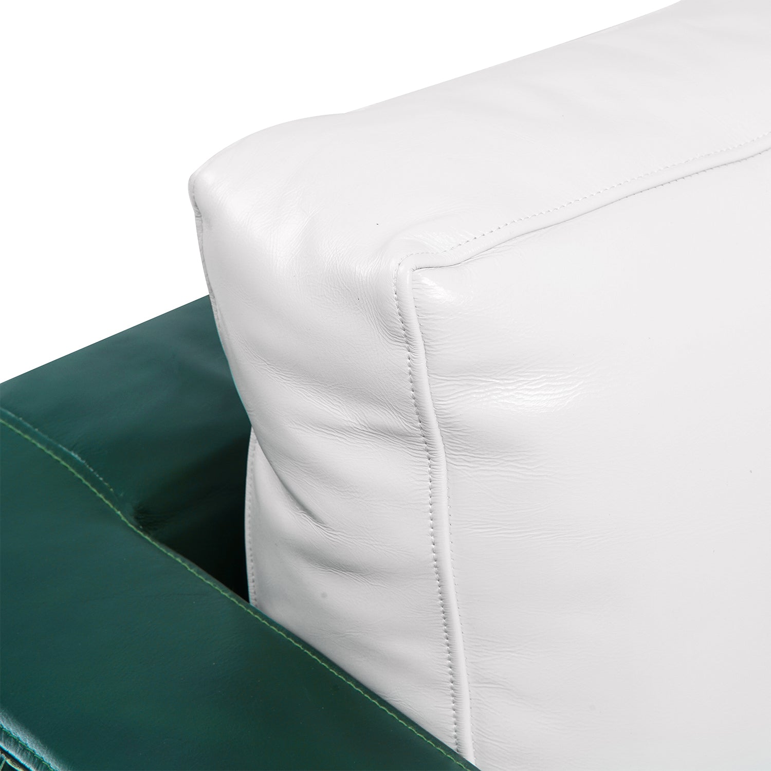 Clark Bizon Leather Chair Pine Front Close Up Cushion 